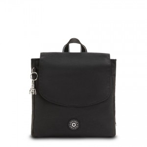 Black Kipling Dannie Fashion Backpacks | UAE-K1251E