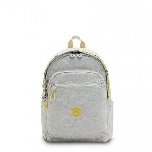 Grey Kipling Delia Fashion Backpacks | UAE-K1261H