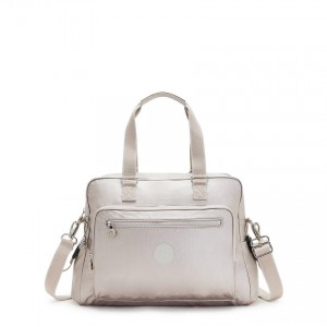 Metal Kipling Alanna Shoulder Bags | UAE-K1914Y