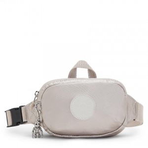 Metal Kipling Alys Metallic Handbags | UAE-K1804G