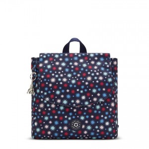 Multicolor Kipling Dannie Fashion Backpacks | UAE-K1252R