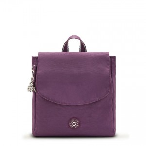 Purple Kipling Dannie Fashion Backpacks | UAE-K1253T