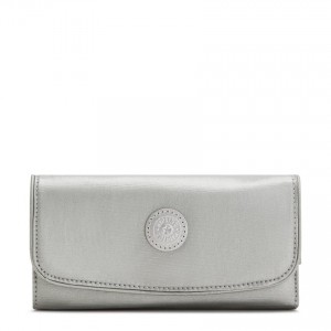 Silver Kipling Money Land Toiletry Bags | UAE-K2073O