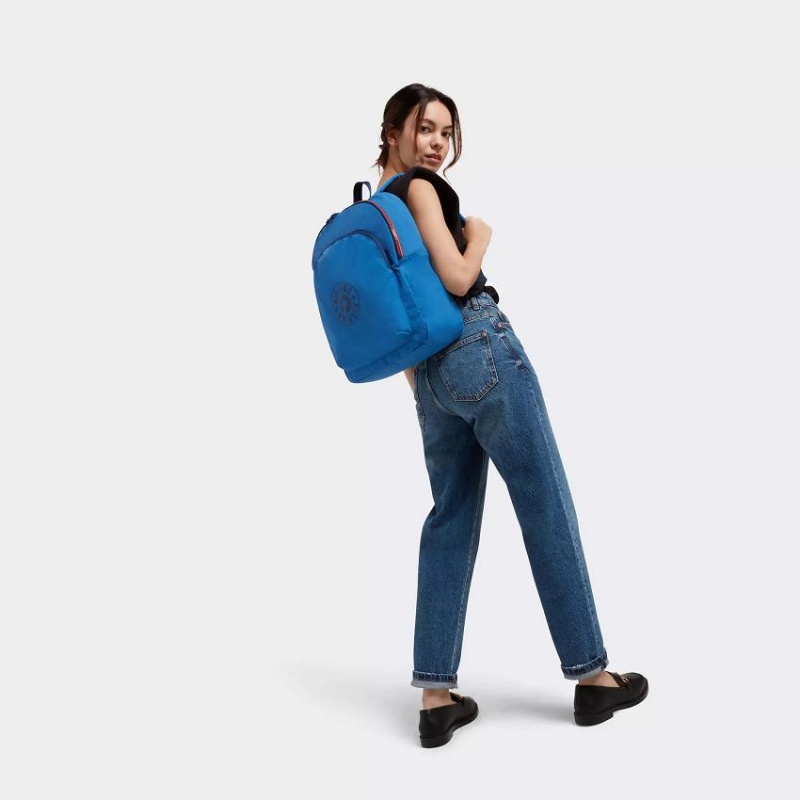 Blue Kipling Curtis Large Laptop Backpacks | UAE-K1324Y