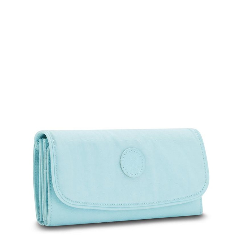 Blue Kipling Money Land Toiletry Bags | UAE-K2077F