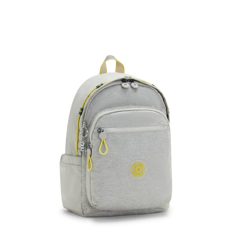 Grey Kipling Delia Fashion Backpacks | UAE-K1261H