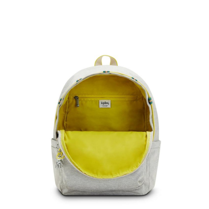 Grey Kipling Delia Fashion Backpacks | UAE-K1261H