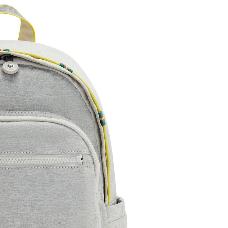 Grey Kipling Delia Fashion Backpacks | UAE-K1261H